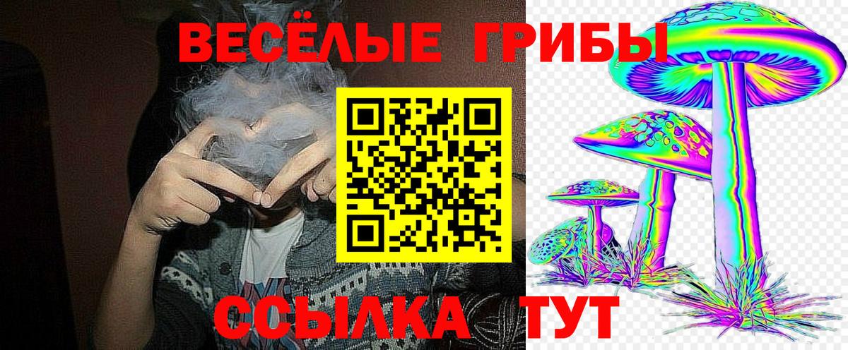 Зеленогорск  Галлюциногенные грибы GOLDEN TEACHER  Вход с VPN 